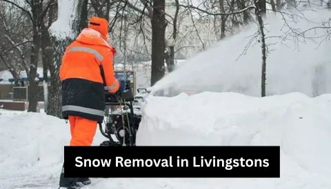 ice dams and snow removal in Livingstons